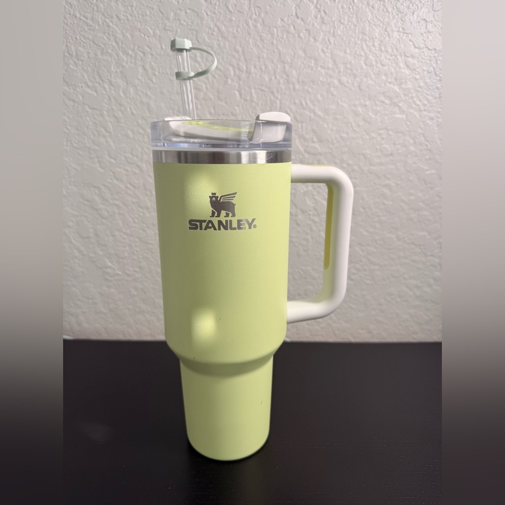 Stanley Light Green Insulated Mug with Handle